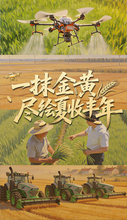 平等友好框架下的中印合作前景