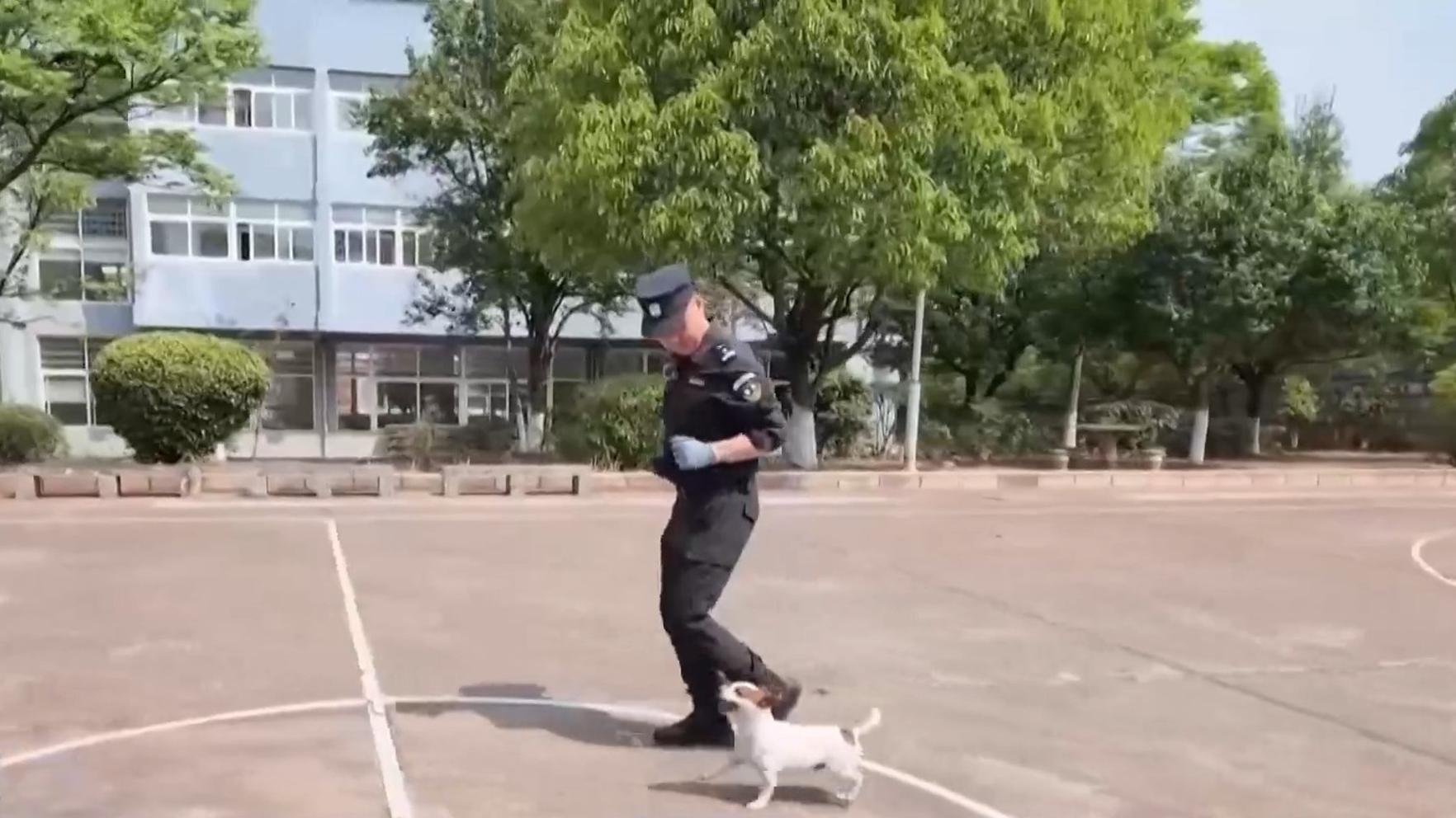 习近平:加快把人民军队建成世界一流军队