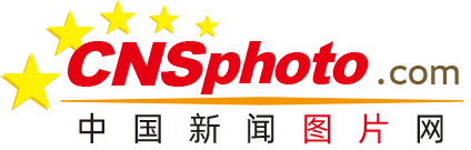 认哥赌博诈骗上亿韩元