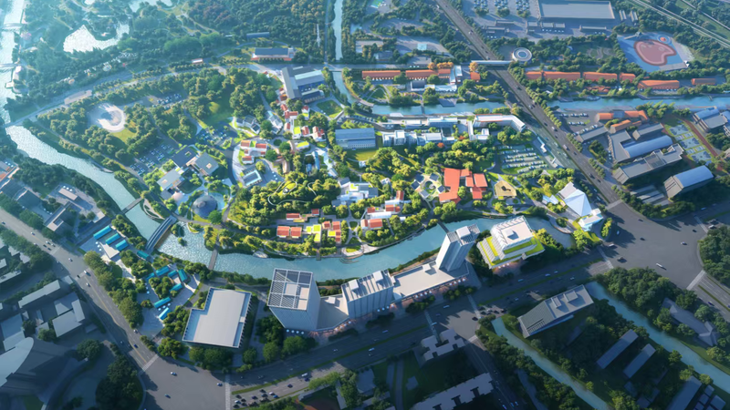 哀牢山发现全球仅千只的鸟