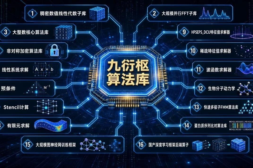哀牢山发现全球仅千只的鸟