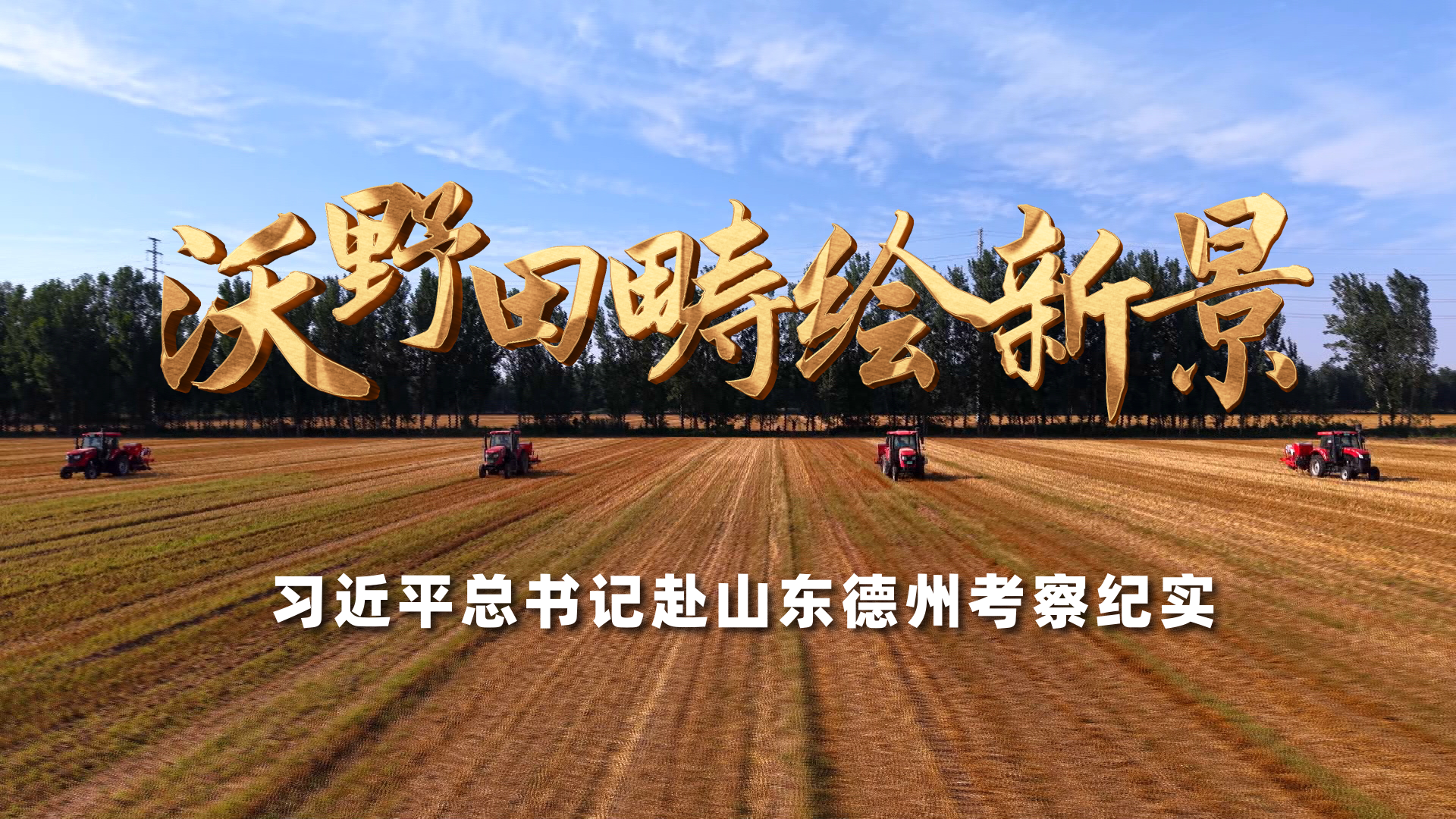 联合国难民署举办研讨会纪念《关于难民地位的公约》通过75周年