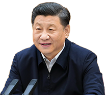徐艺真上综艺