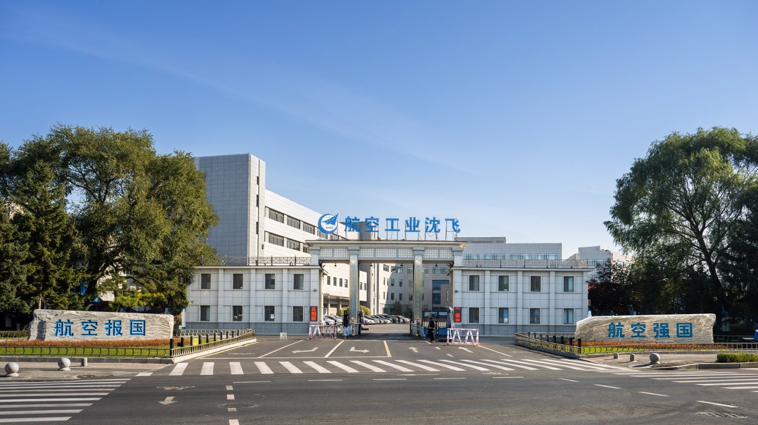 成全视频在线观看大全