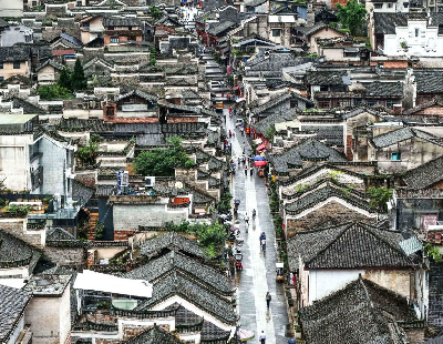 张本智和模仿樊振东模仿姆巴佩