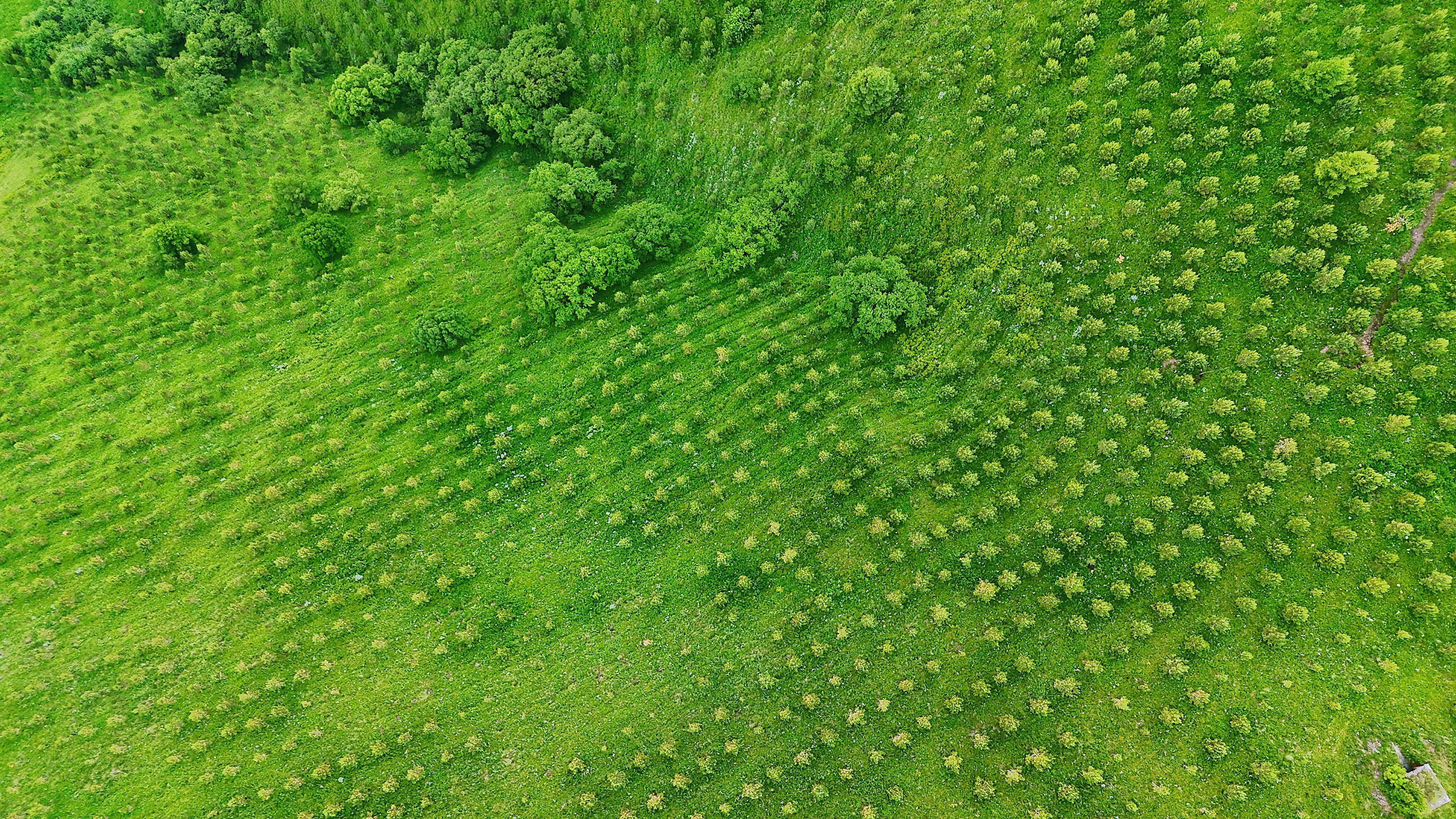 疾控部门回应广东蟑螂已进化