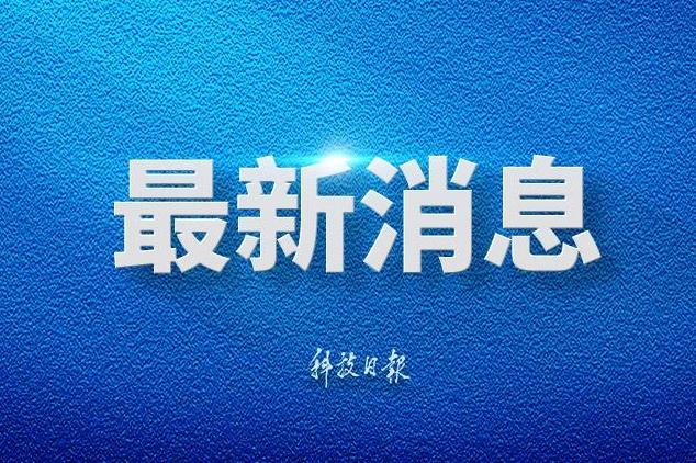 林诗栋蒯曼冠军