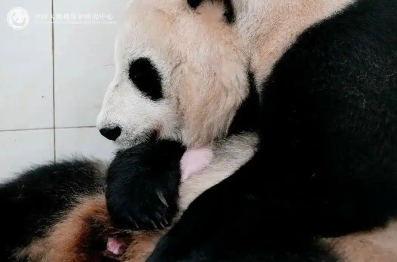 俄罗斯车臣首府发生爆炸致死