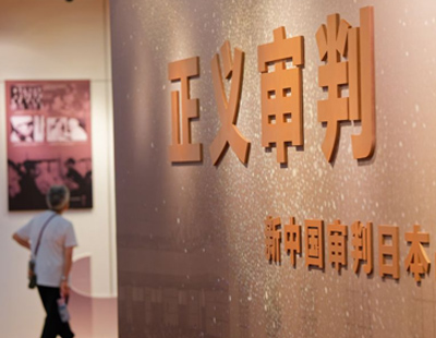 文章模仿向佐动作