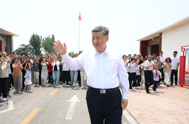 莽小五上树