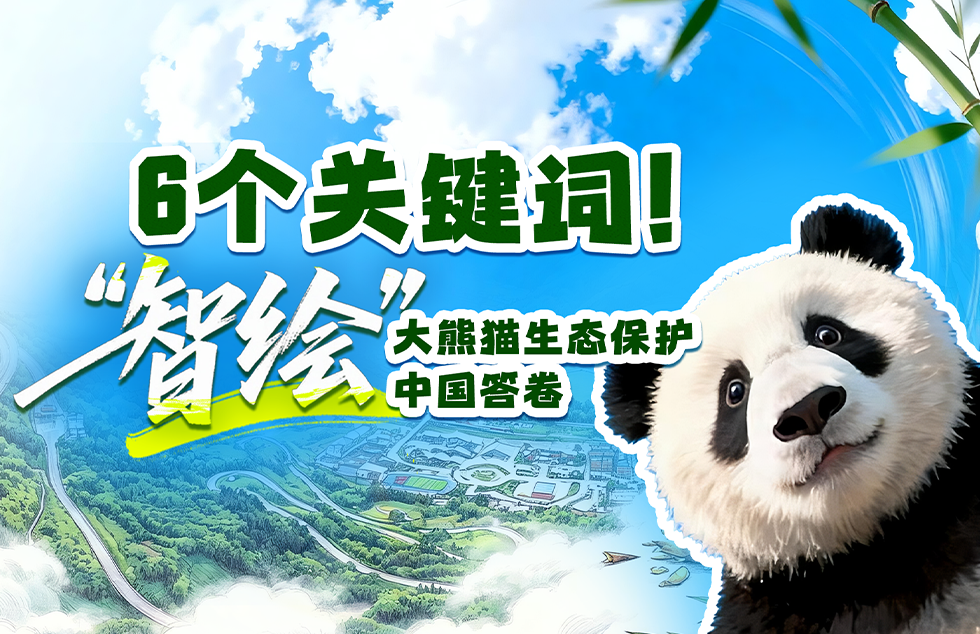 洪承汉退队
