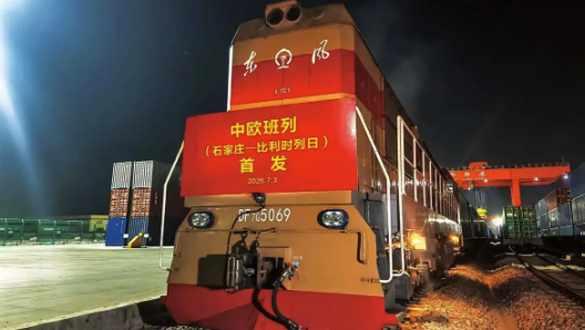 樊振东穿上沪队外套了